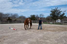 LR-WRF 0402026 Retreat-3201